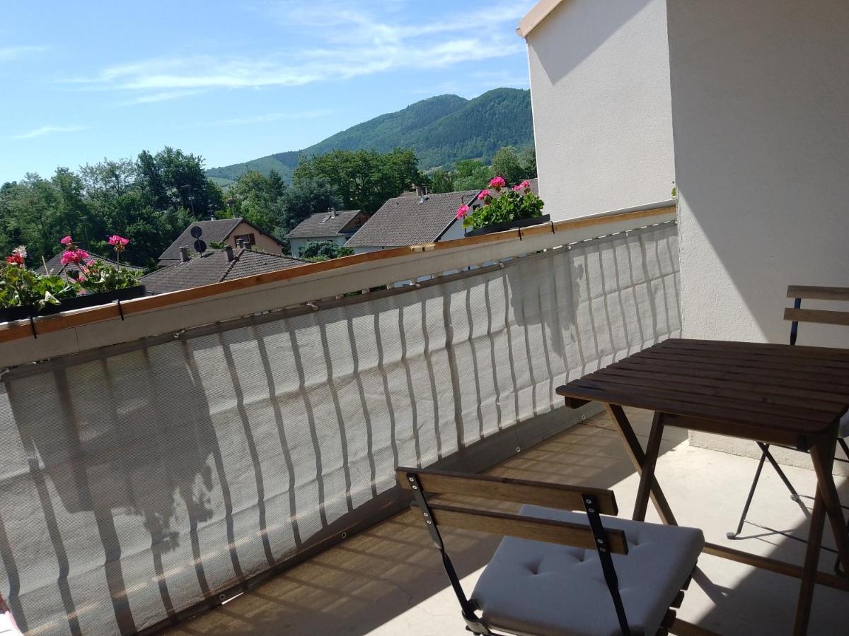 Appartement Avec Balcon : Le Serenity Turckheim Exterior photo